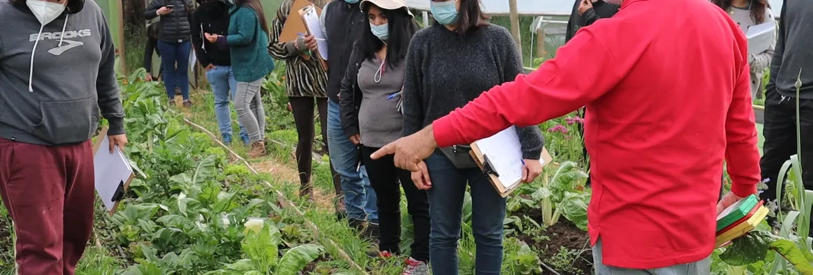 Agroecología y manejo sustentable del agua: abren cursos en CET Biobío durante el verano