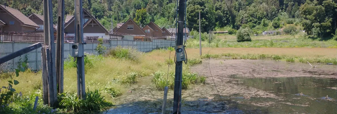 Humedal urbano Pichi Mapu de Concepción ya tiene dos intervenciones pese a ser el primero en ser declarado como tal en la comuna