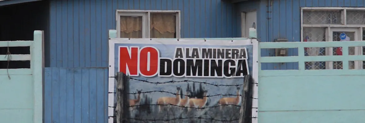 Defendemos la vida y derechos de todos los seres