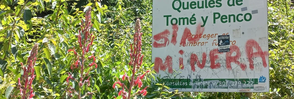 Aún al teléfono: Vecinas/os de Penco acusan permanencia de llamados para intentar favorecer proyecto de tierras raras