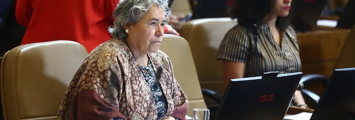 "Va contra la democracia" Diputada del Biobío Clara Sagardía y su rechazo a la ley Gatillo Fácil
