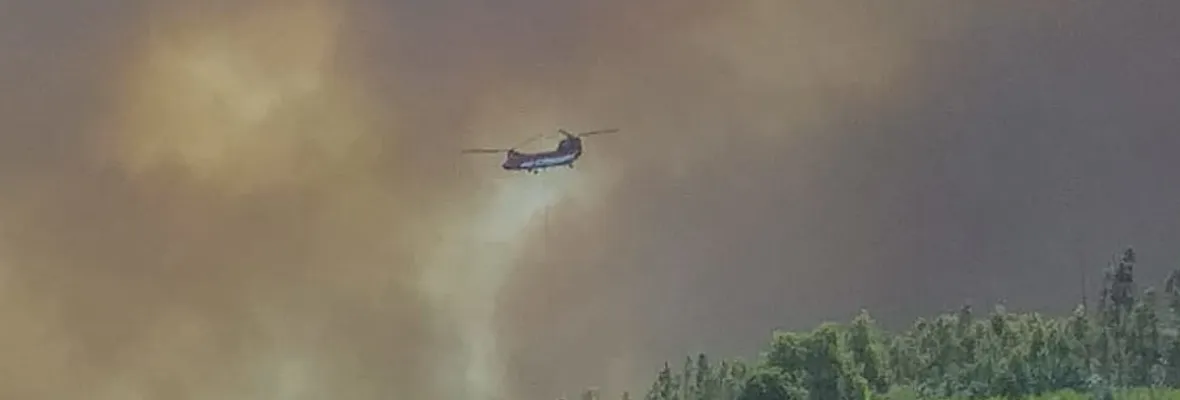 Incendios: Tan previsibles como evitables si se regula la industria forestal