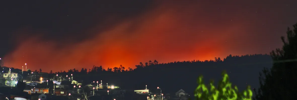 Incendios reactivados en Biobío vuelven a evidenciar la necesidad de regular la industria forestal
