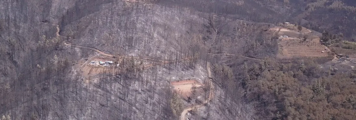 "Si no se regula el tema forestal nos van a terminar matando a todos" advierte vecina damnificada por megaincendio en Nacimiento