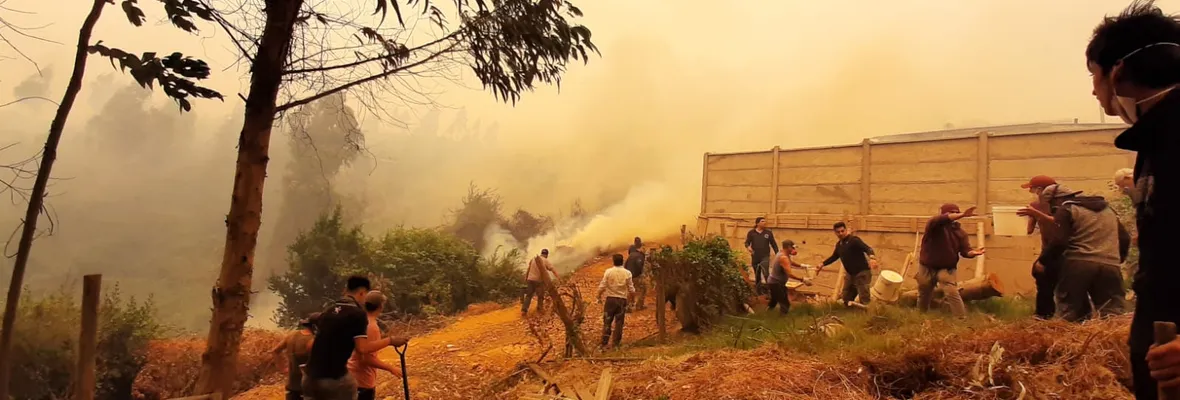 El oscuro interés de centrar el debate en el origen y no la expansión de los incendios forestales