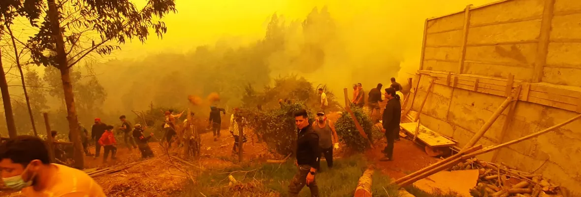 Municipios del Biobío exigen nueva legislación sobre el modelo forestal: Las voces desde Santa Juana, San Rosendo y Curanilahue