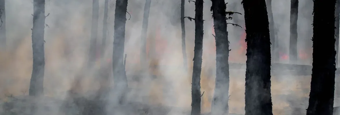 ¡Aguas, aguas! Humedales bajo fuego ¿Qué sabemos y qué está haciendo Chile?