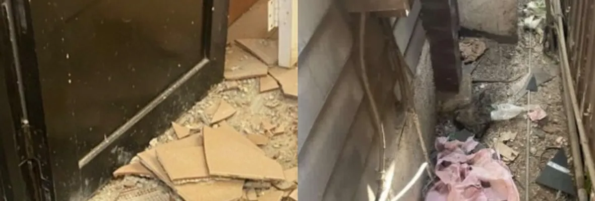 Pese a alza en los aranceles: Estudiantes acusan plagas de ratones y baños con hongos en el Instituto de Artes de la Universidad Católica de Valparaíso