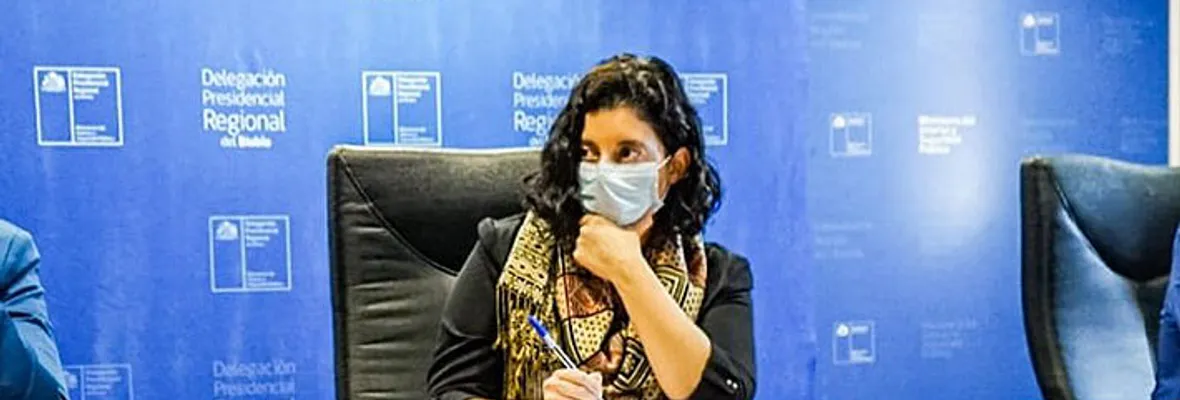 Ex jefe de gabinete de Daniela Dresdner habría utilizado su firma para autorizar remuneración que no le correspondía