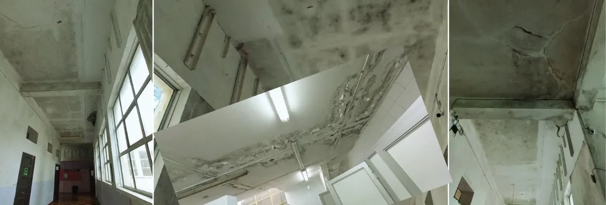 Liceo Anita Serrano de Talcahuano se cae a pedazos: Hongos y hoyos en paredes y techos son muestra del abandono