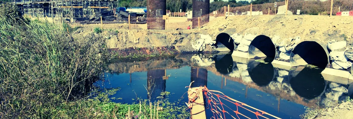¿Tendrá futuro el Santuario de la Naturaleza Laguna Grande - Humedal Los Batros de San Pedro de la Paz?
