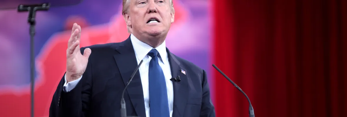 Donald perdido en su propio laberinto