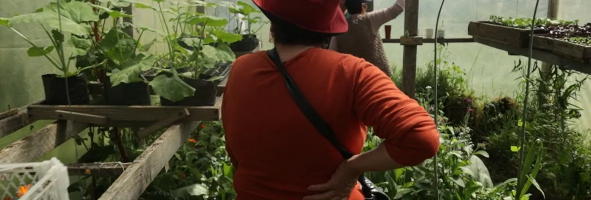 Chile será sede de XI Congreso Latinoamericano de Agroecología este 2026