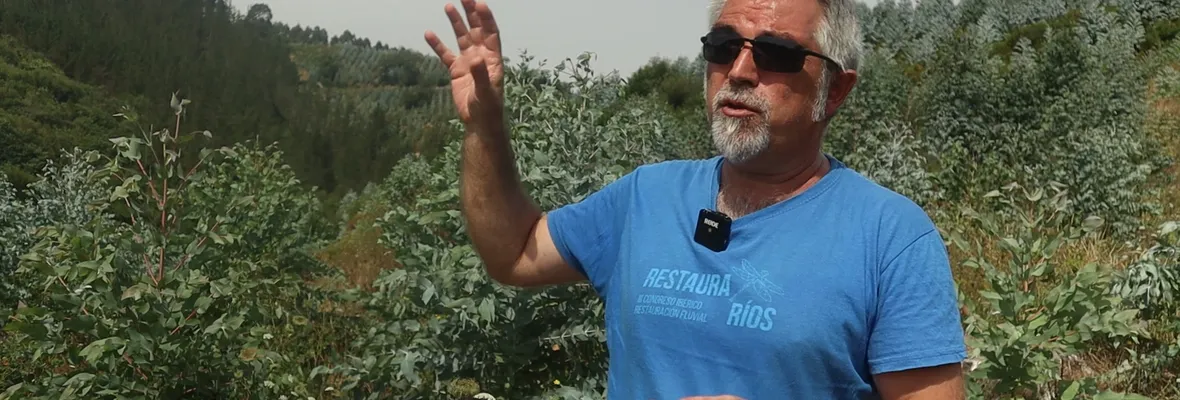Experto en ecología fluvial: Los ríos están amenazados por el monocultivo de eucalipto