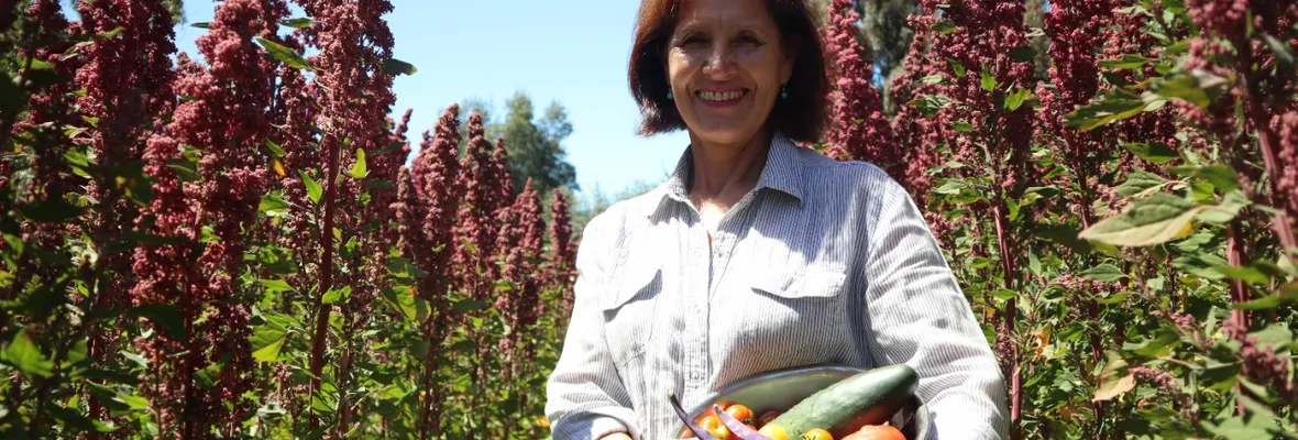 Paraíso agroecológico en la Araucanía: 35 años de trayectoria de Mongelechi Mapu