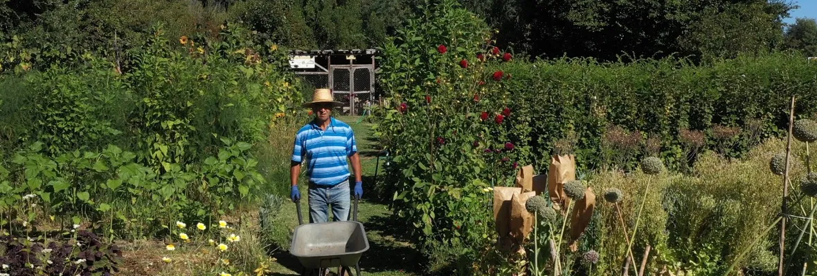 Temuco será sede de Congreso Chileno de Agroecología