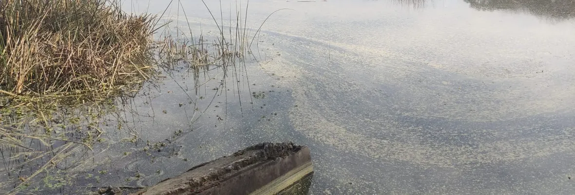 Preocupación por lamentable condición ambiental de la Laguna Grande de San Pedro de la Paz