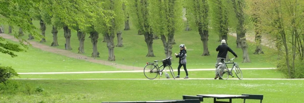 París reducirá el 40% del asfalto para bajar las temperaturas