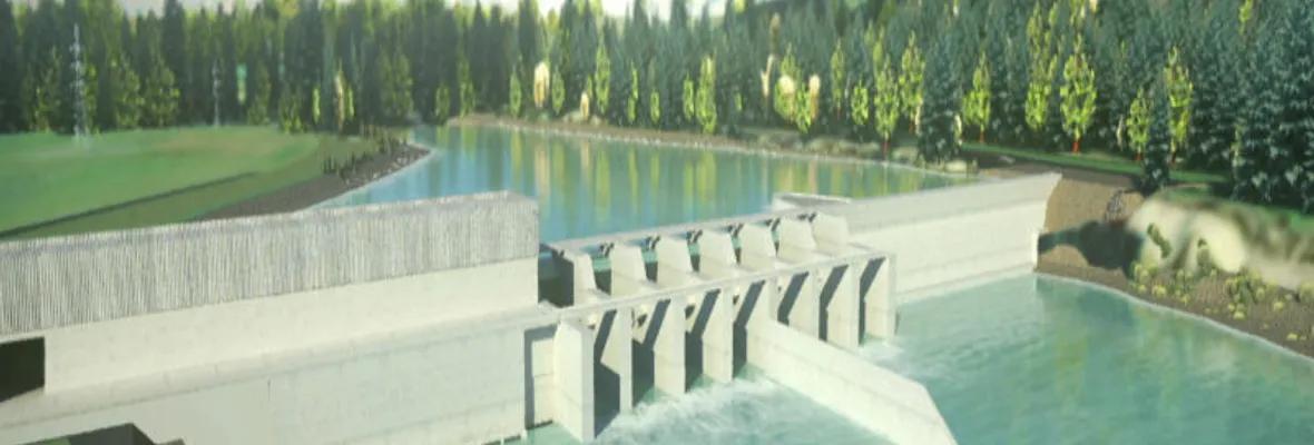 Central Rucalhue: El proyecto hidroeléctrico que busca nuevamente declaratoria de interés nacional para su construcción