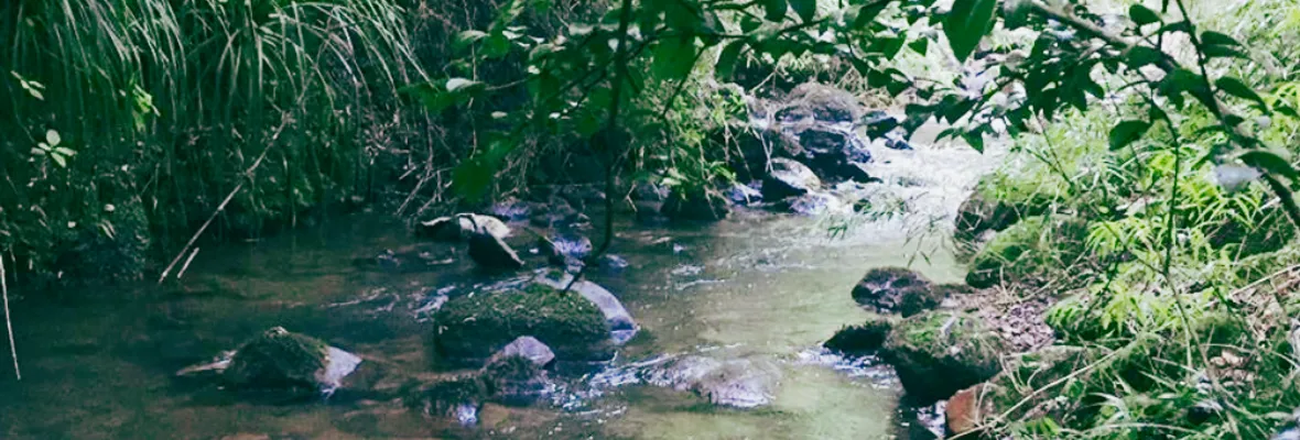 Minera de tierras raras posee derechos de aguas del lugar donde busca instalarse en Penco: Dice no ocuparla en proceso minero