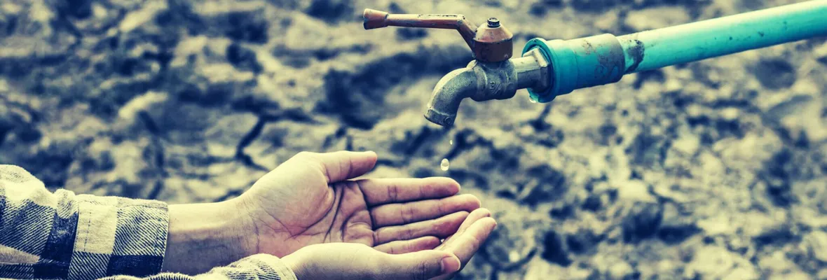 Más de 200 revistas científicas llaman a líderes mundiales a tratar la Crisis Climática y de la Naturaleza como una Emergencia de Salud Global
