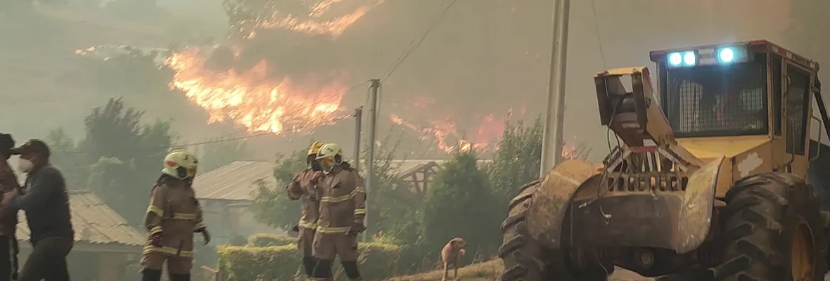 A 8 meses de la catástrofe: Santa Juana exige más recursos para prevenir incendios forestales esta nueva temporada estival