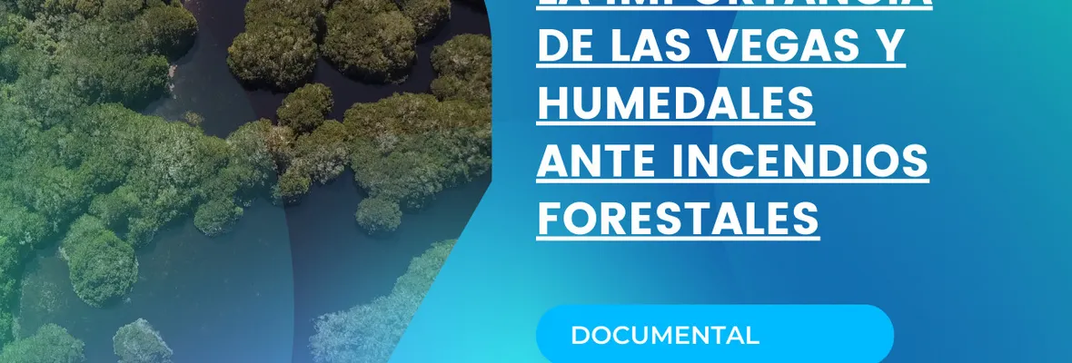 DOCUMENTAL | "La Importancia de las Vegas y Humedales ante Incendios Forestales"