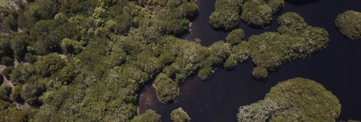 "La Importancia de las Vegas y Humedales ante Incendios Forestales" nuevo documental de Resumen resalta la importancia de estos espacios para prevenir catástrofes