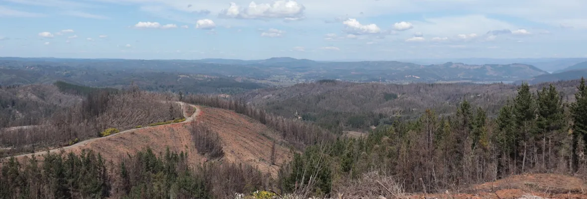 Agrupación ambiental llama a apoyar demanda ante Tribunal Internacional de los Derechos de la Naturaleza por megaincendios en el Biobío
