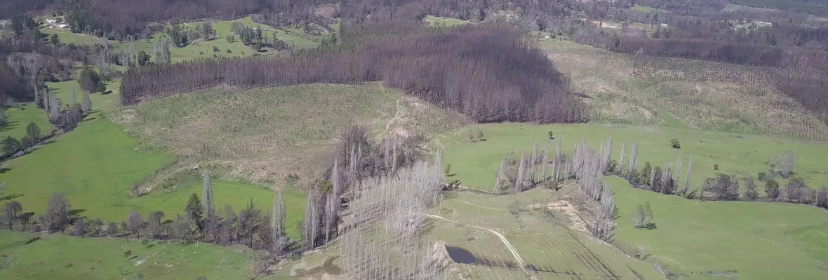 Nuevo documental de Resumen sobre incendios forestales, vegas y humedales se presentará este sábado en Concepción