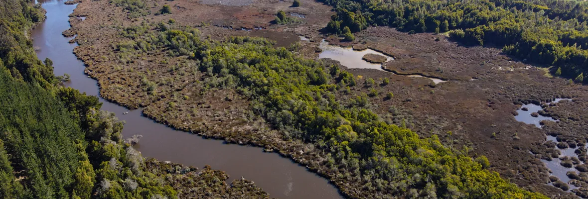 Ruta Piedemonte: ¿Una amenaza para el agua de la provincia de Concepción?
