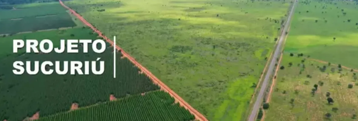 Forestal Arauco pretende construir un "Monstruo de Celulosa" en el sur de Brasil