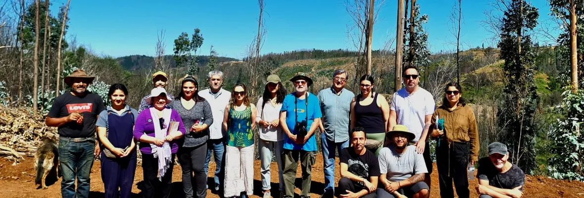 Monocultivos forestales e incendios en la mira: Tribunal Internacional de los Derechos de la Naturaleza analizó impactos socioambientales de la industria forestal