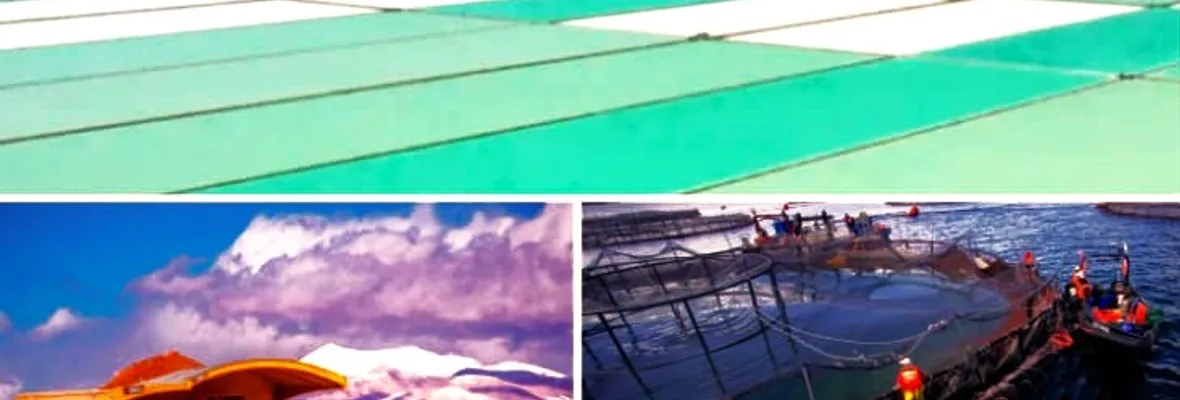 CARTAS A RESUMEN | 2023: El año del marketing verde