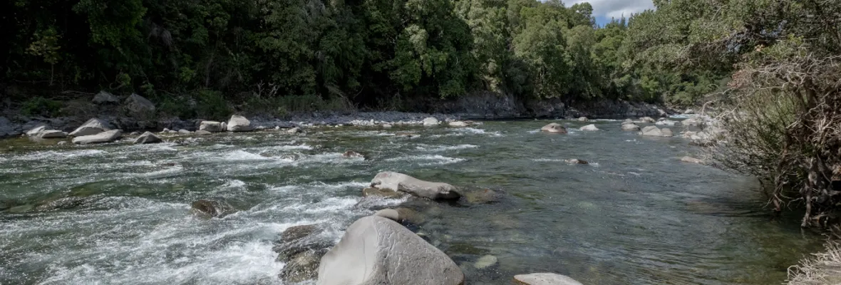 La excusa de la permisología: Mantienen aprobación de embalse Zapallar pese a graves deficiencias ambientales