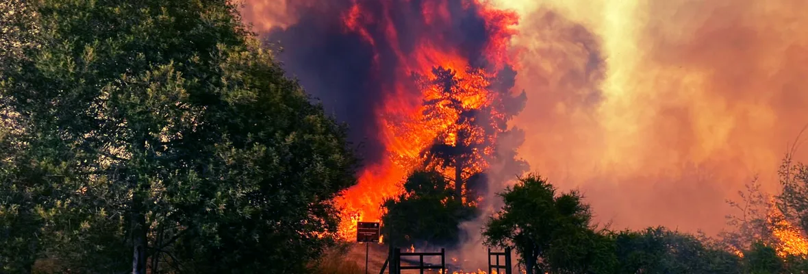 Muertos por incendios escalan a 51: Impactos se concentran en la región de Valparaíso y Bomberos apunta a intencionalidad