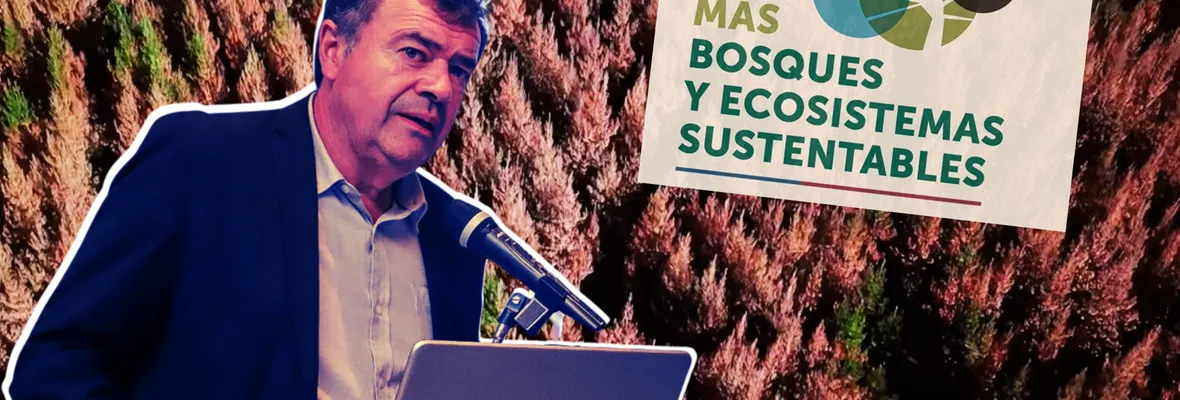 Sin presupuesto específico: Plan "Nuevo Modelo Forestal" del gobierno limita proceso de participación a tres meses