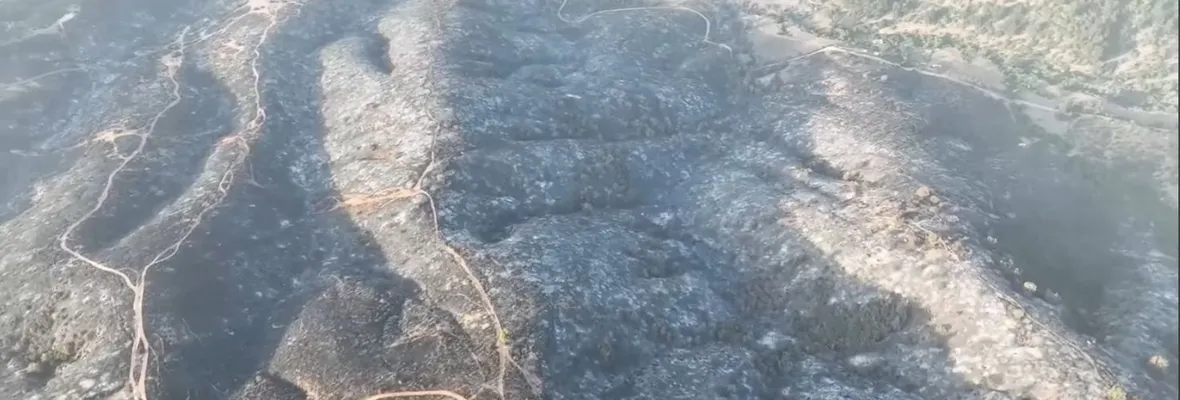 Las Rutas del Cartel del Fuego: Vecinos de la región del Valparaíso realizan reportaje audiovisual sobre el mega incendio