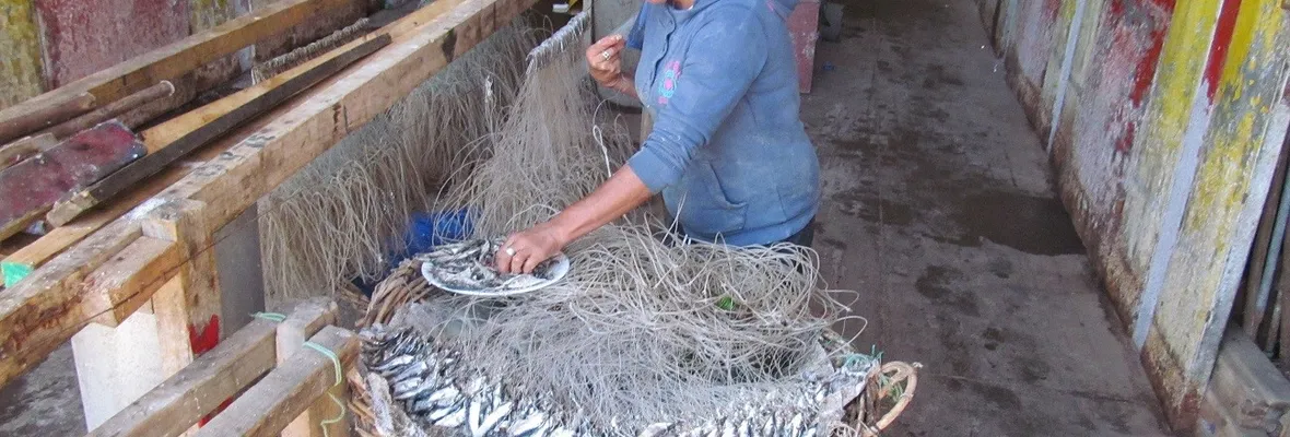 Mujeres de la pesca artesanal y actividades conexas exponen su realidad y demandas en caleta Portales