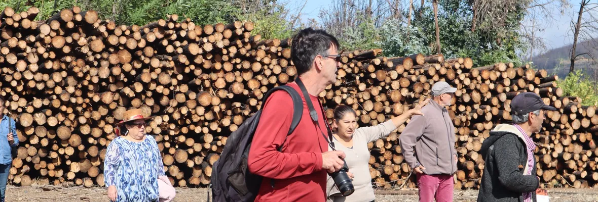Organizaciones internacionales recogieron evidencias de impacto del monocultivo forestal en el centro-sur de Chile