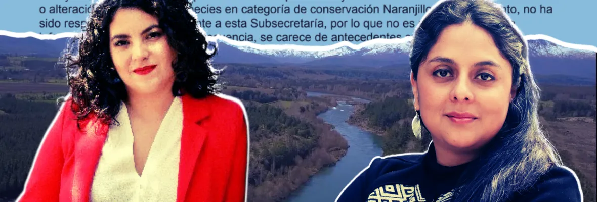 Ministerio de Desarrollo Social respaldó interés nacional de Central Rucalhue sin pronunciarse sobre posibilidad de nueva consulta indígena