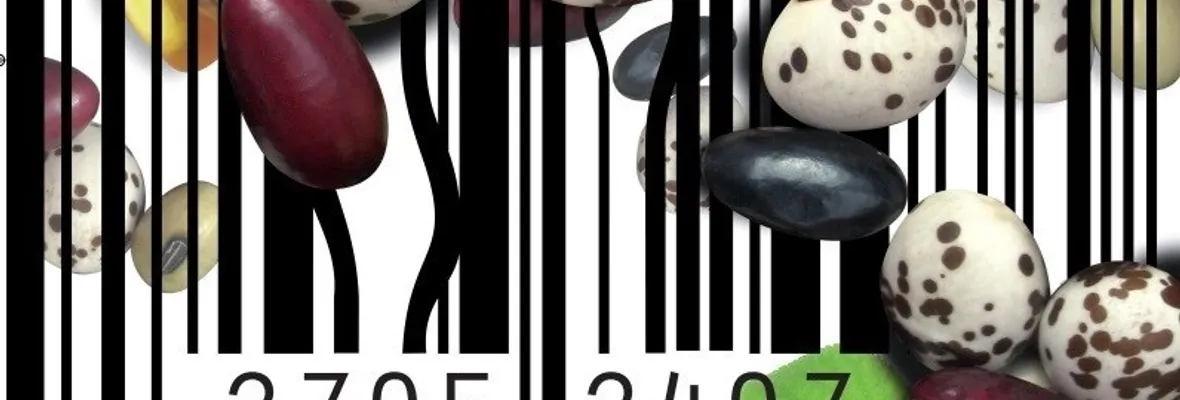 Declaración en rechazo a resolución N°162 de Minagri sobre Semilla Tradicional