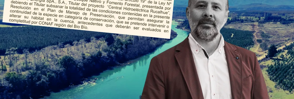 Pese a rechazo de comunidades, Ministerio y municipios: CONAF se inclina por el negocio hidroeléctrico y autoriza talar especies en categoría de conservación para proyecto Central Rucalhue