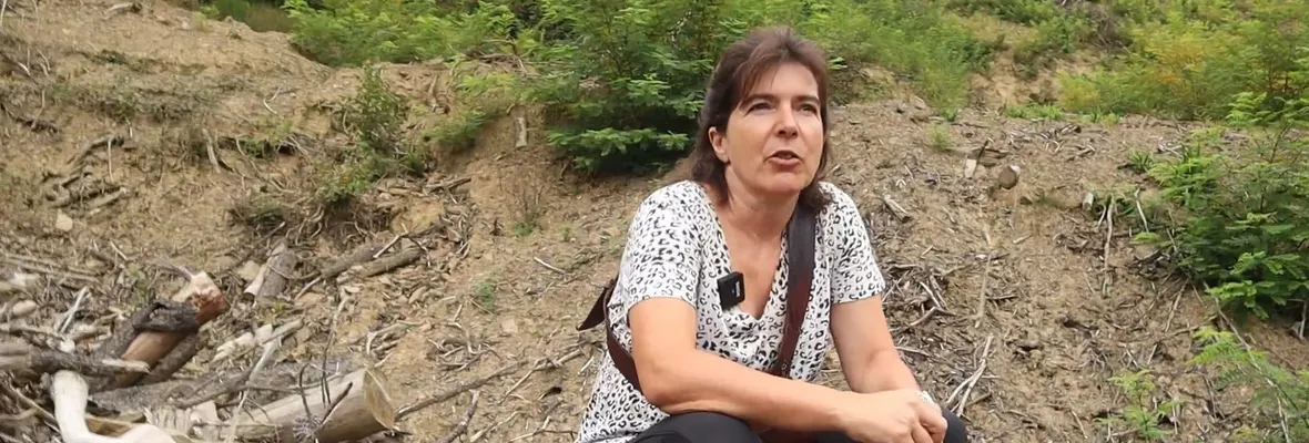"Es una barbaridad": Bióloga vasca se refiere a la tala rasa y el monocultivo forestal