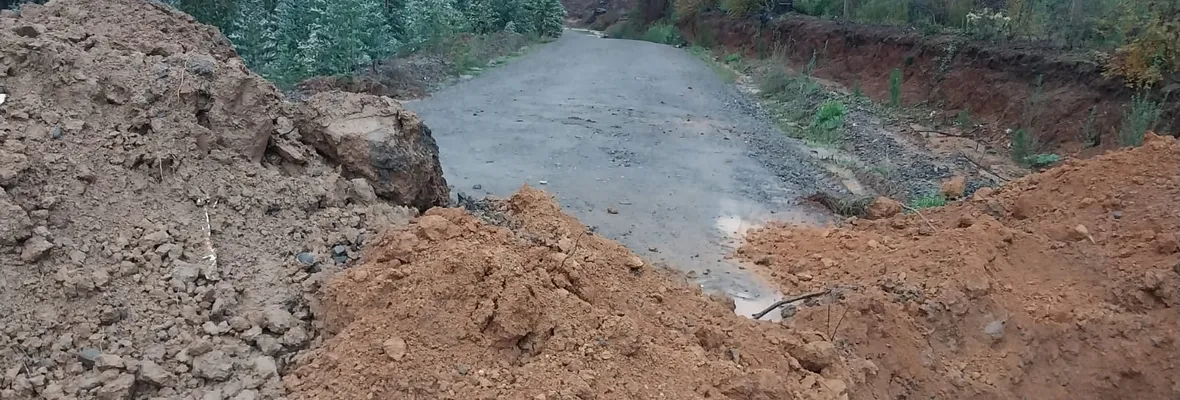 Forestal Arauco cerró caminos vecinales en Tomé: pobladores acusan hostigamiento y represión