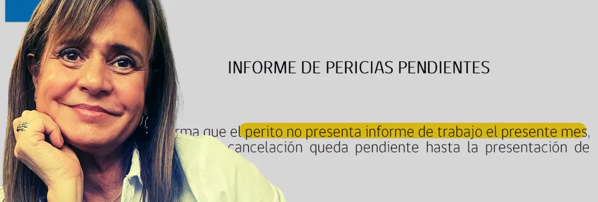 Jacqueline van Rysselberghe no habría entregado informe de pericias para las que fue contratada durante su primer mes de trabajo en el SML