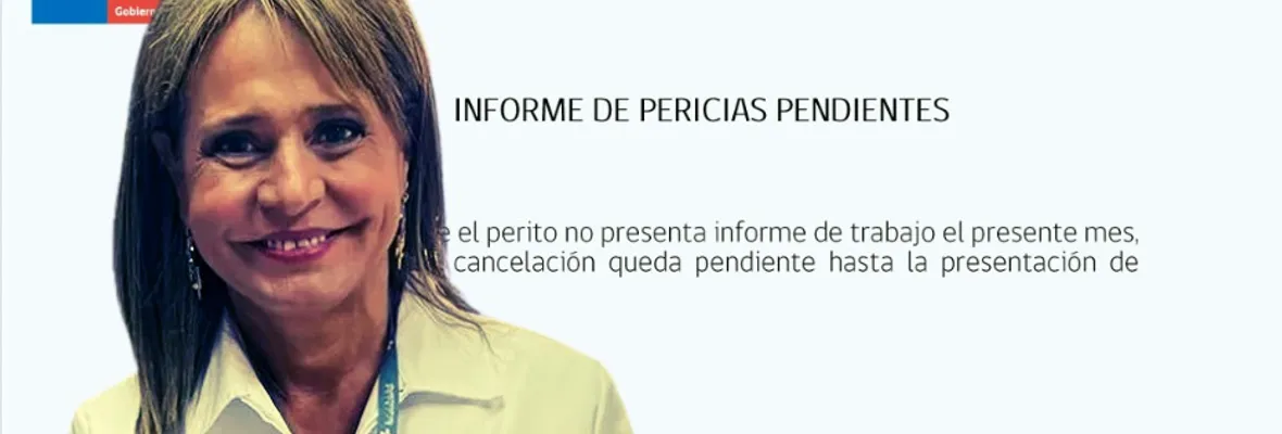 Pese a estar en su contrato: Jacqueline van Rysselberghe no entregó informes de pericias durante sus dos meses de trabajo en el SML