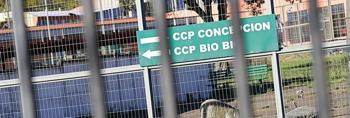 CARTAS A RESUMEN| Presos Políticos Mapuche ante este Wiñol Txipantü