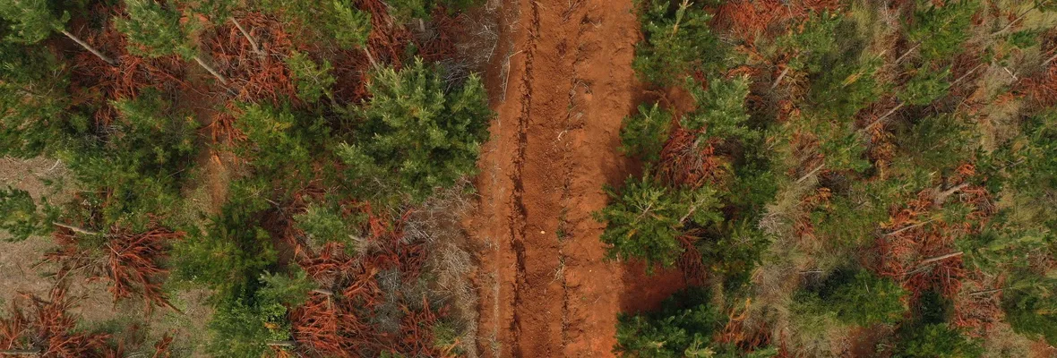 Forestal Arauco implementa nueva y peligrosa práctica: Enormes zanjas con desconocidos impactos socio ecológicos