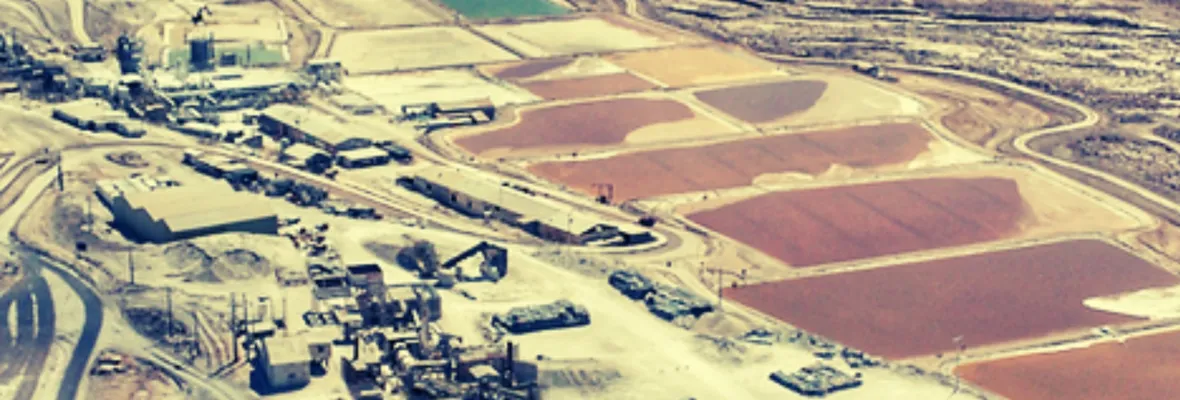 Quiborax: Empresa denunciada por daño ambiental a Salar de Surire busca obtener contrato para explotar litio
